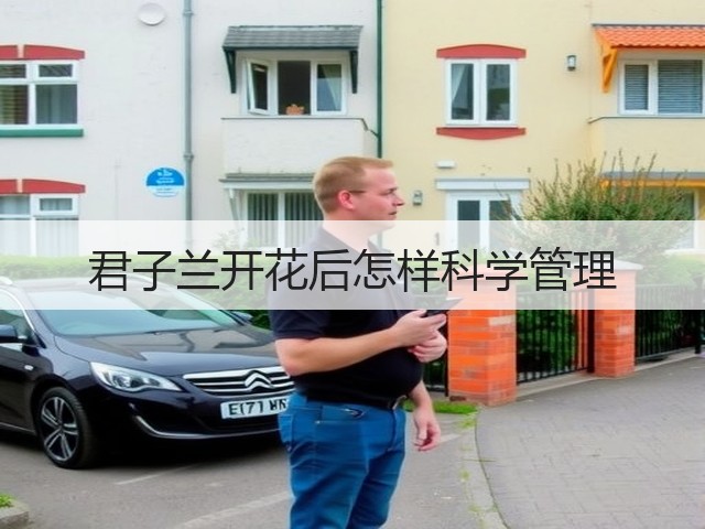 君子兰开花后怎样科学管理