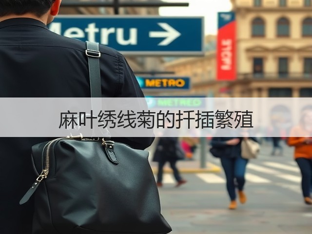麻叶绣线菊的扦插繁殖