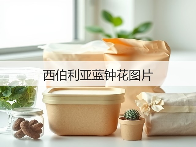 西伯利亚蓝钟花图片