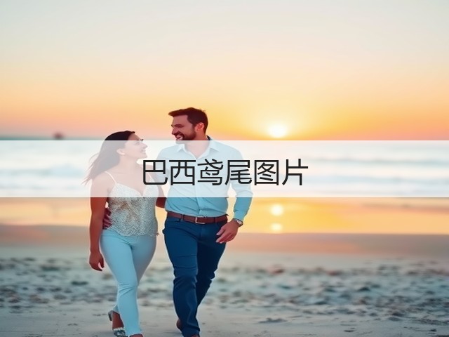 巴西鸢尾图片 巴西鸢尾图片