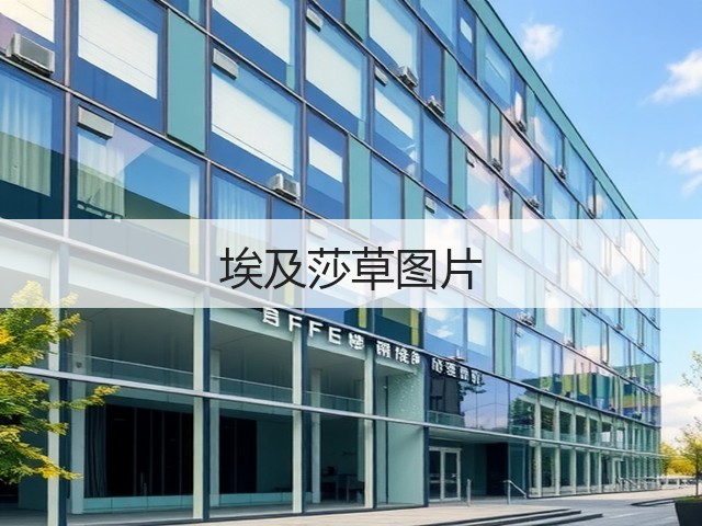 埃及莎草图片
