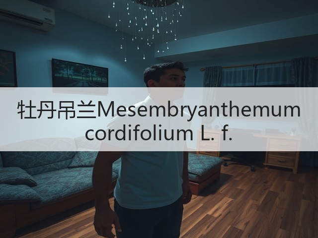 牡丹吊兰Mesembryanthemum cordifolium L. f. 牡丹吊兰Mesembryanthemum cordifolium L. f.
