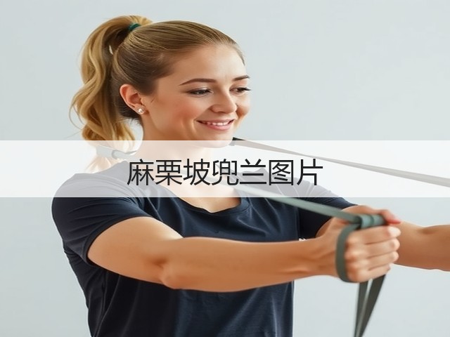 麻栗坡兜兰图片 麻栗坡兜兰图片