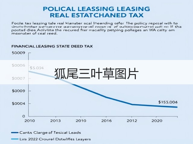 狐尾三叶草图片 狐尾三叶草图片