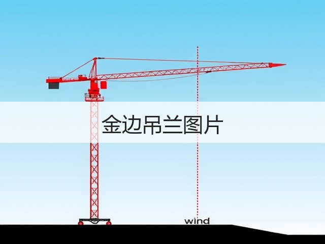 金边吊兰图片 金边吊兰图片
