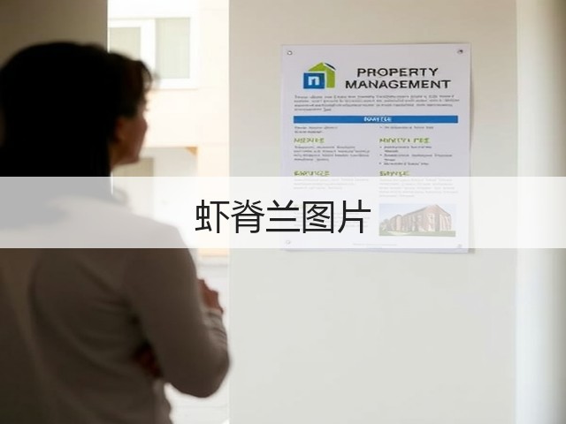 虾脊兰图片 虾脊兰图片