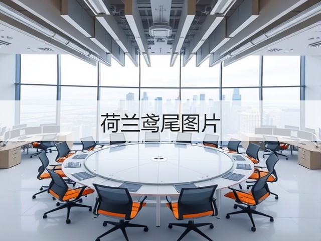 荷兰鸢尾图片 荷兰鸢尾图片