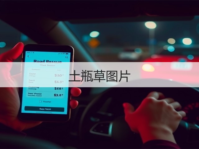 土瓶草图片 土瓶草图片