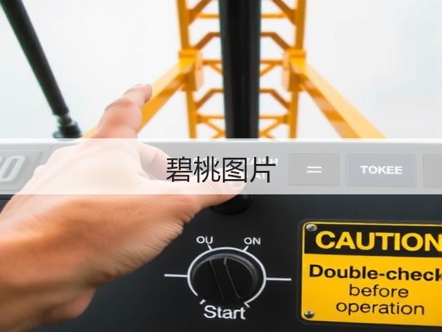 碧桃图片 碧桃图片