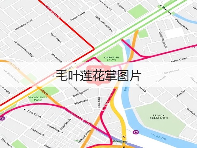 毛叶莲花掌图片 毛叶莲花掌图片