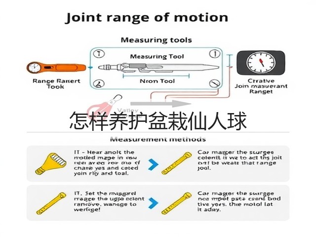 怎样养护盆栽仙人球 怎样养护盆栽仙人球